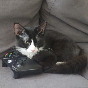 Meet your Posher, Samantha